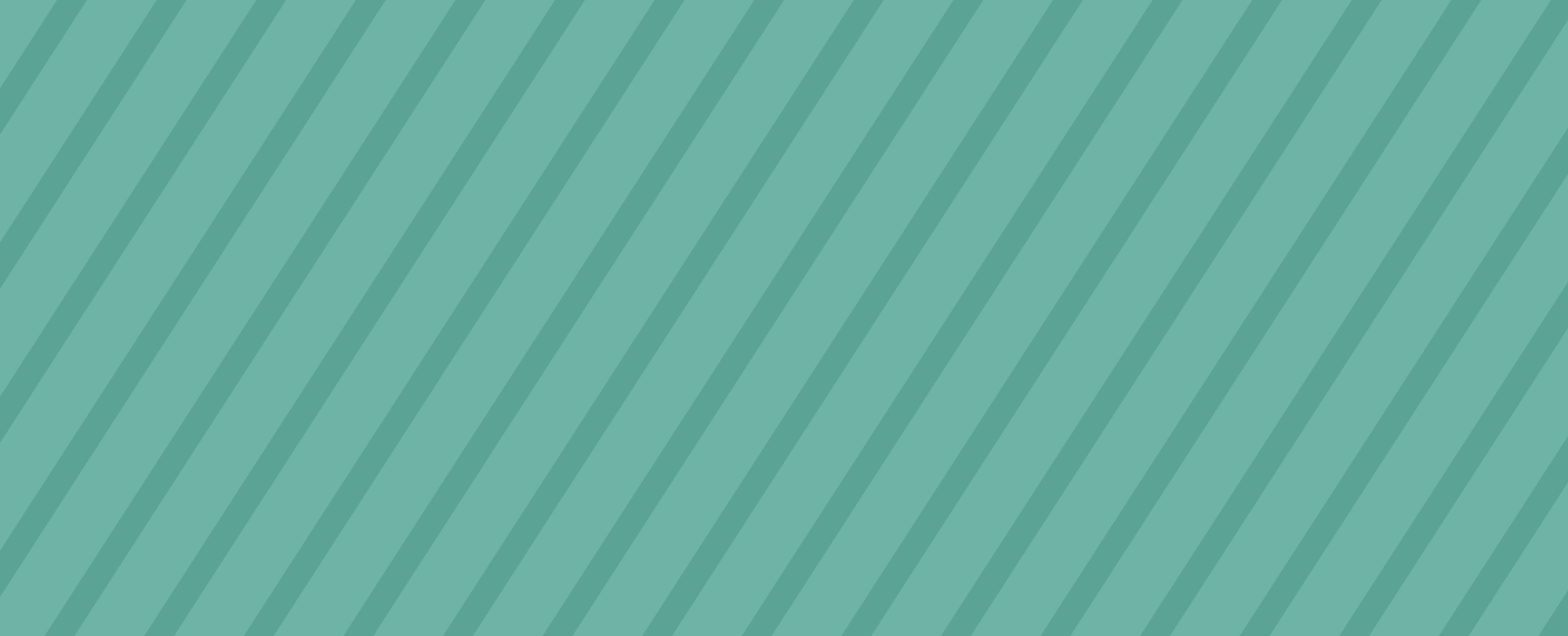 slideshow banner
